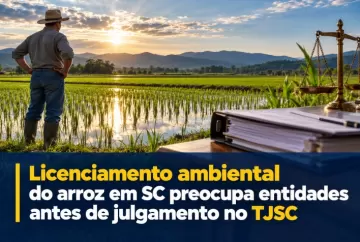 Licenciamento ambiental do arroz em SC preocupa entidades antes de julgamento no TJSC
