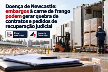 Doença de Newcastle: embargos à carne de frango podem gerar quebra de contratos e pedidos de recuperação judicial