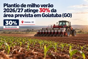 Plantio de milho verão 2026/27 atinge 30% da área prevista em Goiatuba (GO)