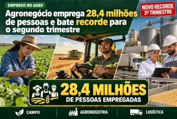 Agronegócio emprega 28,4 milhões de pessoas e bate recorde para o segundo trimestre