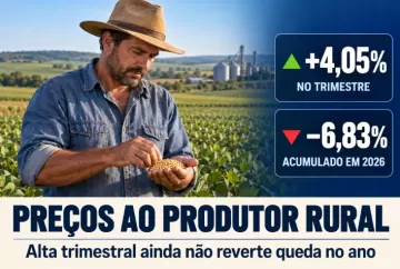 Preços ao produtor rural sobem 4,05% no trimestre, mas acumulam queda de 6,83% em 2026