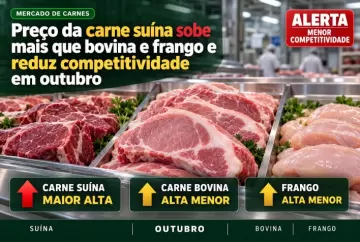Preço da carne suína sobe mais que bovina e frango e reduz competitividade em outubro