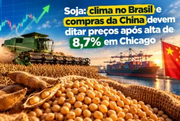 Soja: clima no Brasil e compras da China devem ditar preços após alta de 8,7% em Chicago