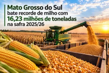 Mato Grosso do Sul bate recorde de milho com 16,23 milhões de toneladas na safra 2025/26
