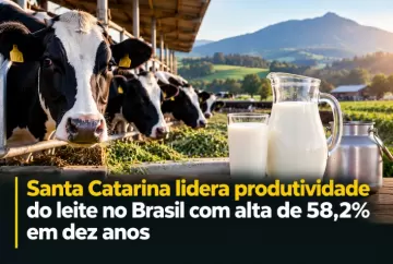 Santa Catarina lidera produtividade do leite no Brasil com alta de 58,2% em dez anos