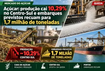 Açúcar: produção cai 10,29% no Centro-Sul e embarques previstos recuam para 1,7 milhão de toneladas