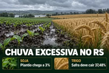 Plantio da soja no RS chega a 3% com excesso de chuva; safra de trigo deve cair 37,48%