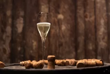Vinícola Garibaldi conquista seleção histórica com dez amostras na Avaliação Nacional de Vinhos 2026