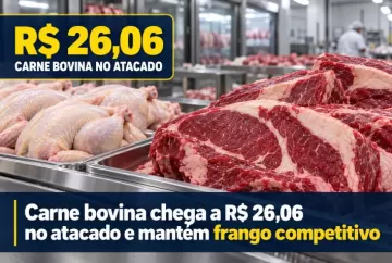 Carne bovina chega a R$ 26,06 no atacado e mantém frango competitivo