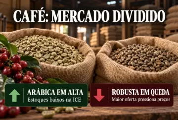 Café arábica sobe com estoques baixos na ICE; robusta recua com maior oferta