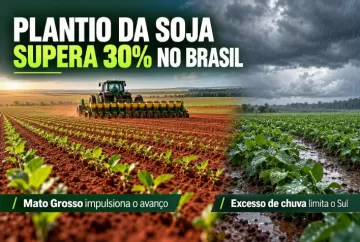 Plantio da soja supera 30% no Brasil com avanço em Mato Grosso; excesso de chuva limita o Sul