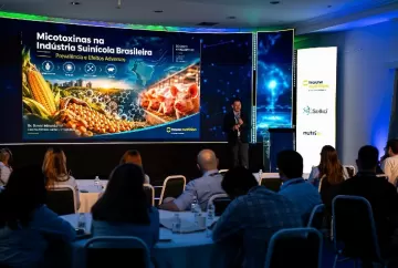 Swine Vision 2026 destaca nutrição de leitões e controle de micotoxinas na suinocultura