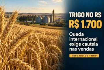 Trigo chega a R$ 1.700 no RS, mas queda internacional exige cautela nas vendas
