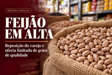 Preço do feijão sobe com reposição do varejo e oferta limitada de grãos de qualidade