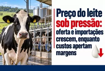 Preço do leite sob pressão: oferta e importações crescem, enquanto custos apertam margens