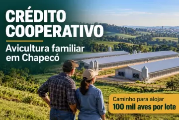Crédito cooperativo transforma aviário familiar em Chapecó e abre caminho para alojar 100 mil aves por lote