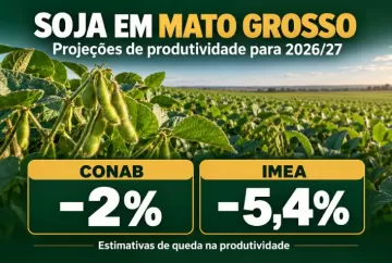 Soja em Mato Grosso: Conab prevê queda de 2% na produtividade em 2026/27, e Imea estima recuo de 5,4%