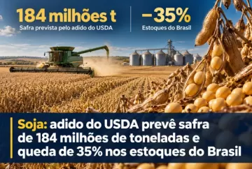 Soja: adido do USDA prevê safra de 184 milhões de toneladas e queda de 35% nos estoques do Brasil