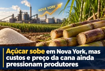 Açúcar sobe em Nova York, mas custos e preço da cana ainda pressionam produtores