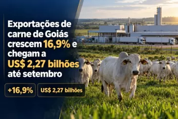 Exportações de carne de Goiás crescem 16,9% e chegam a US$ 2,27 bilhões até setembro