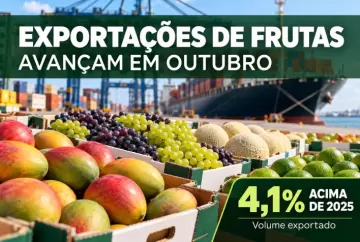 Exportações de frutas aceleram em outubro e superam volume de 2025 em 4,1%