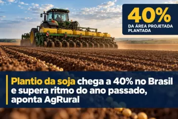 Plantio da soja chega a 40% no Brasil e supera ritmo do ano passado, aponta AgRural