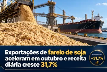 Exportações de farelo de soja aceleram em outubro e receita diária cresce 31,7%