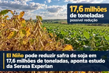 El Niño pode reduzir safra de soja em 17,6 milhões de toneladas, aponta estudo da Serasa Experian