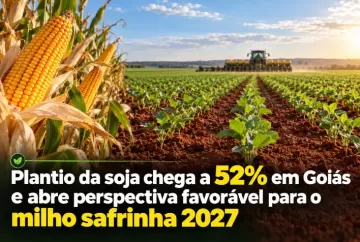 Plantio da soja chega a 52% em Goiás e abre perspectiva favorável para o milho safrinha 2027
