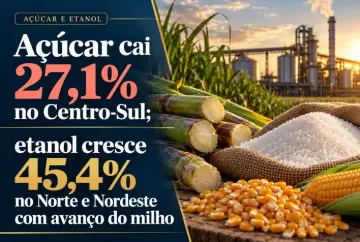 Açúcar cai 27,1% no Centro-Sul; etanol cresce 45,4% no Norte e Nordeste com avanço do milho