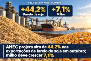 ANEC projeta alta de 44,2% nas exportações de farelo de soja em outubro; milho deve crescer 7,1%