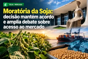 Moratória da Soja: decisão do STF mantém acordo e amplia debate sobre acesso ao mercado