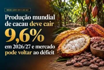 Produção mundial de cacau deve cair 9,6% em 2026/27 e mercado pode voltar ao déficit