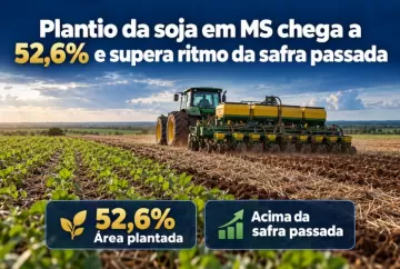 Plantio da soja em MS chega a 52,6% e supera ritmo da safra passada