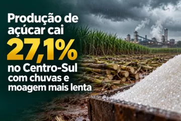 Produção de açúcar cai 27,1% no Centro-Sul com chuvas e moagem mais lenta