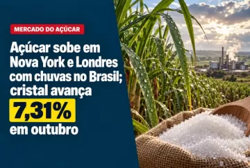 Açúcar sobe em Nova York e Londres com chuvas no Brasil; cristal avança 7,31% em outubro