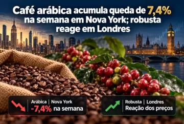 Café arábica acumula queda de 7,4% na semana em Nova York; robusta reage em Londres