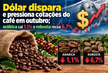Dólar dispara e pressiona cotações do café em outubro; arábica cai 1,1% e robusta recua 6,7%