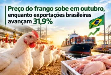Preço do frango sobe em outubro, enquanto exportações brasileiras avançam 31,9%