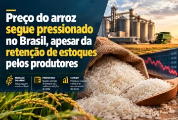 Preço do arroz segue pressionado no Brasil, apesar da retenção de estoques pelos produtores