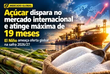 Açúcar dispara no mercado internacional e atinge máxima de 19 meses; El Niño ameaça oferta global na safra 2026/27