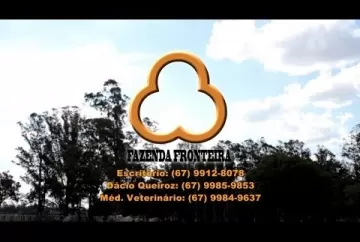 Estância Fronteira oferece 94 Touros Nelore PO