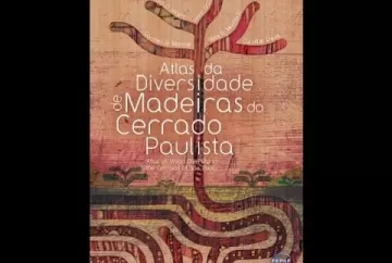 Atlas reúne diversidade de madeiras do Cerrado Paulista