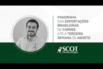 Panorama das exportações brasileiras de carnes até a terceira semana de agosto - TV Scot Consultoria