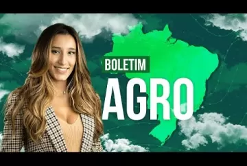 Escassez hídrica na BA pode reduzir potencial produtivo do milho e feijão - Climatempo