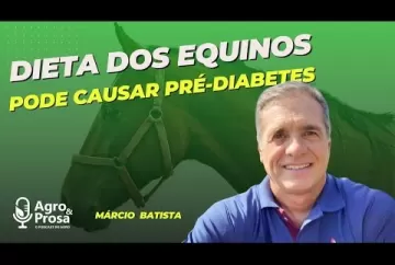 Equinos podem ficar pré-diabéticos por causa da dieta - Agro & Prosa