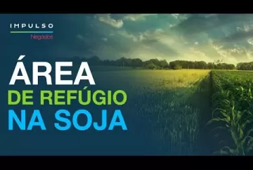 Vantagens da área de refúgio na soja | Impulso Negócios  - Agro Bayer Brasil