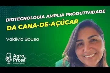 Biotecnologia amplia produtividade da cana de açúcar - Agro & Prosa