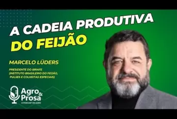 A cadeia produtiva do feijão - Agro & Prosa