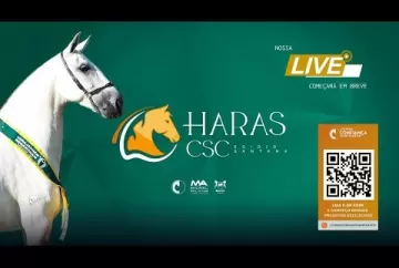 Live de Criação Haras CSC